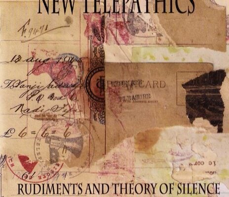 New Telepathics 2009 album Rudiments And The Theory Of Silence